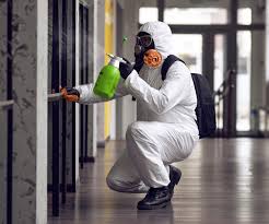 Best Comprehensive Air Testing for Mold Contaminants  in Eastlawn Gardens, PA